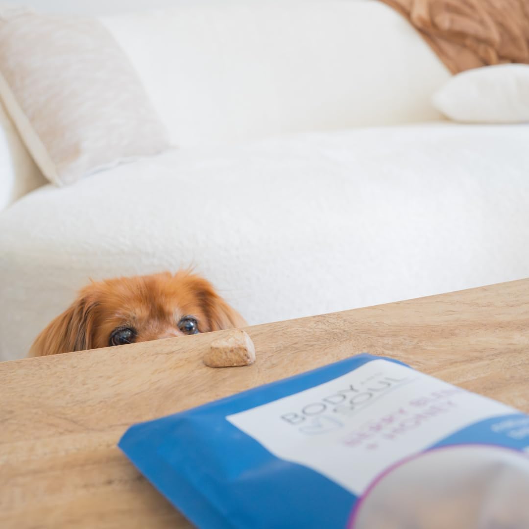 Body and Soul Pumpkin + Leafy Greens Crunchy Dog Treat - Superfood Biscuits Baked with Oats Barley & Quinoa - All-Natural Plant Based Clean Protein, No Additives or Fillers - Made in USA 2 Pack (20oz)