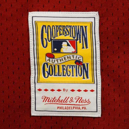 Men's Philadelphia Phillies Darren Daulton Mitchell & Ness Red Cooperstown Mesh Batting Practice Jersey