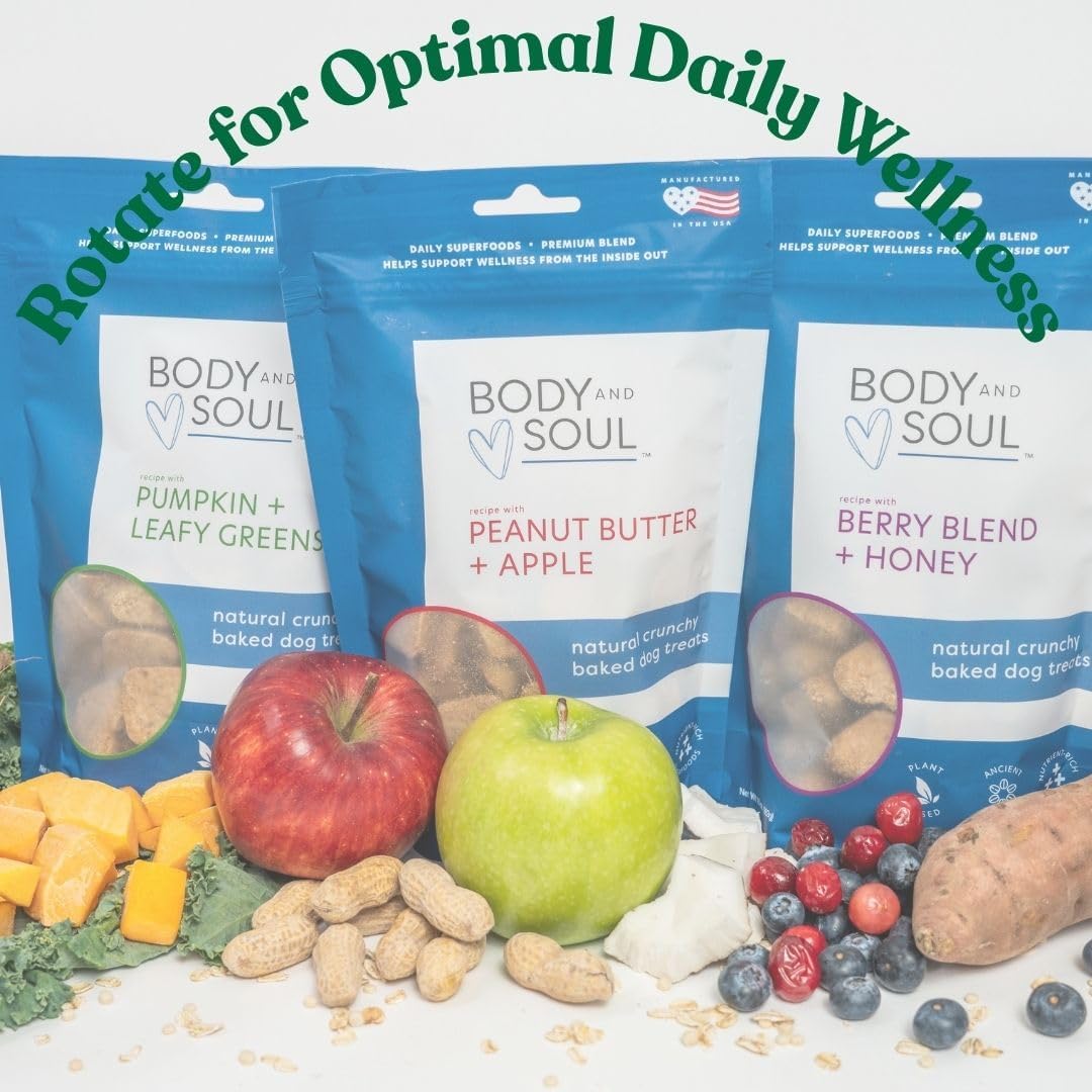 Body and Soul Pumpkin + Leafy Greens Crunchy Dog Treat - Superfood Biscuits Baked with Oats Barley & Quinoa - All-Natural Plant Based Clean Protein, No Additives or Fillers - Made in USA 2 Pack (20oz)