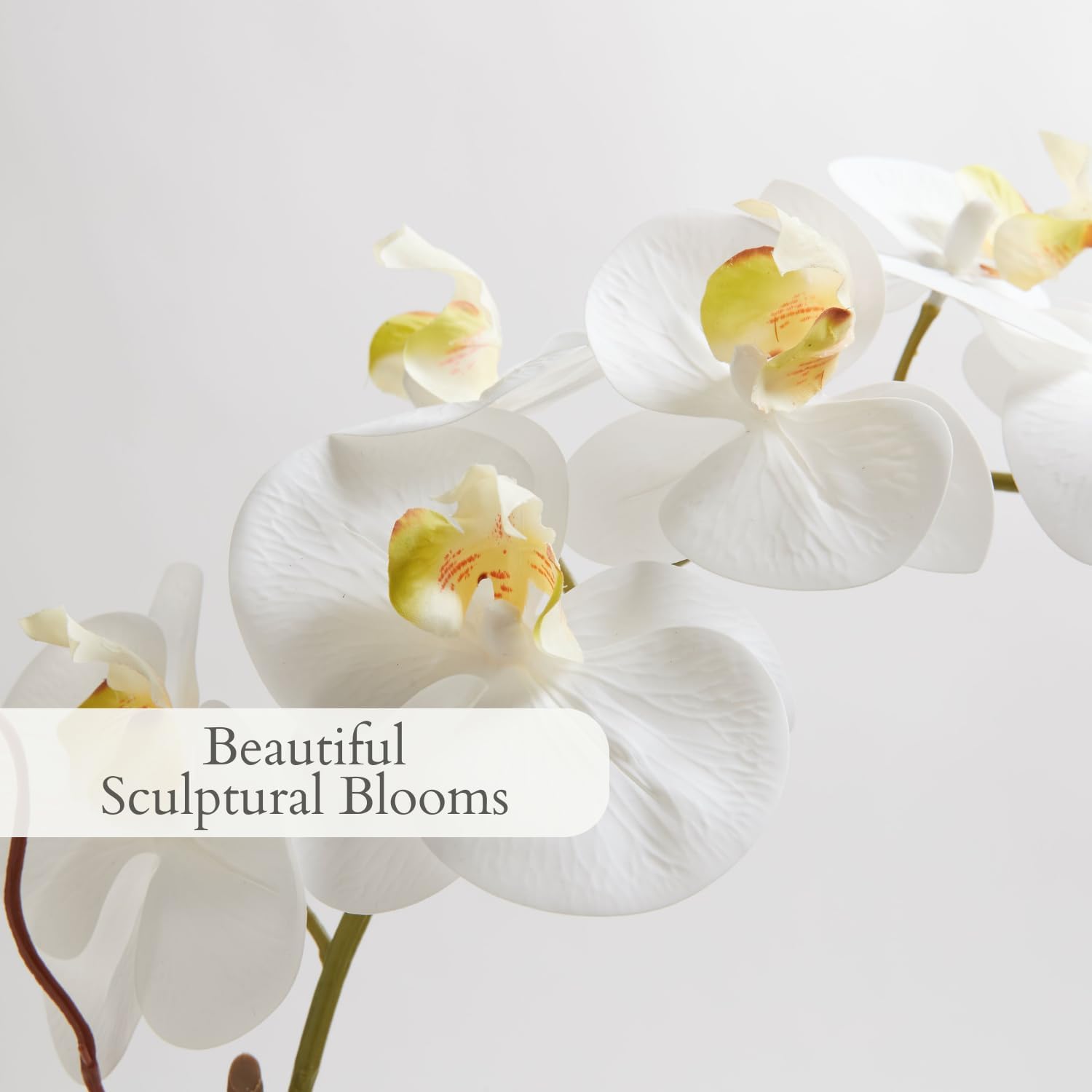 CG Hunter Faux White Orchid Plant, Premium Artificial Indoor Flower Display Stands 25-Inches with Beautiful Sculptural Blooms and Foliage That Lasts Forever, Grey Planter Pot Included